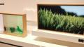 8K und OLED: TV-Innovationen der IFA